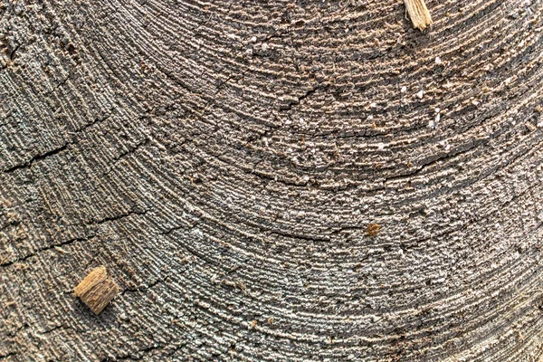 Textur Hintergrund Schwarz Dunkler Paneeltisch Mit Kopierraum Altes Holzbodenmuster Holzplankenwand — Stockfoto