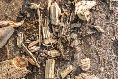 Arkaplan siyah. Fotokopi alanı olan siyah tahılı masa. Eski ahşap şablon. Vintage grunge duvar kağıdı için kereste yüzey duvarı. Doğal ahşap dekorasyon konsepti.