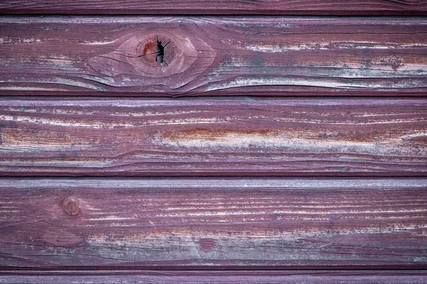 Real Natural Wood Texture Timber Plank Surface Wall Vintage Grunge — Stock Photo, Image