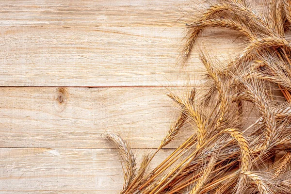 Wheat on table. Wheat grain ear or rye spike plant isolated on brown wood plank background, for cereal bread flour. Whole, barley, harvest wheat sprouts. Element of design