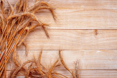 Çavdar ekmeği. Tam, arpa, buğday filizleri. Tahta desenli buğday taneleri ya da çavdar çivisi ya da kahverengi doğal organik arka plan, tahıl ekmeği unu için. Düz Yat, boşluğu kopyala