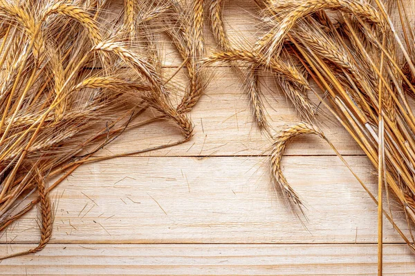 Wheat on table. Wheat grain ear or rye spike plant isolated on brown wood plank background, for cereal bread flour. Whole, barley, harvest wheat sprouts. Element of design