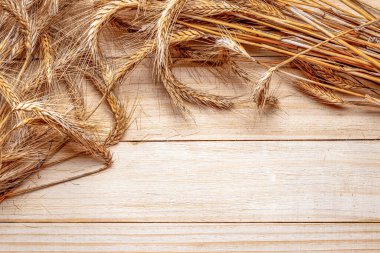 Arpa arpası. Tam, arpa, buğday filizleri. Tahta zemin üzerine izole edilmiş buğday tanesi ya da çavdar saplı bitki, tahıl unu için. Üst görünüm