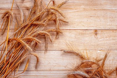 Buğday çavdarlı yulaf tohumları. Tam, arpa, buğday filizleri. Tahta desenli buğday taneleri ya da çavdar çivisi ya da kahverengi doğal organik arka plan, tahıl ekmeği unu için. Üst görünüm.