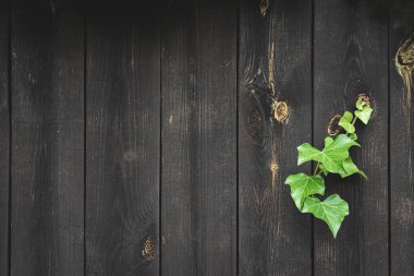 Doku arkaplan grunge. Eski ahşap şablon. Vintage grunge duvar kağıdı için kereste yüzey duvarı. Fotokopi alanı olan siyah tahılı masa. Doğal ahşap dekorasyon konsepti.