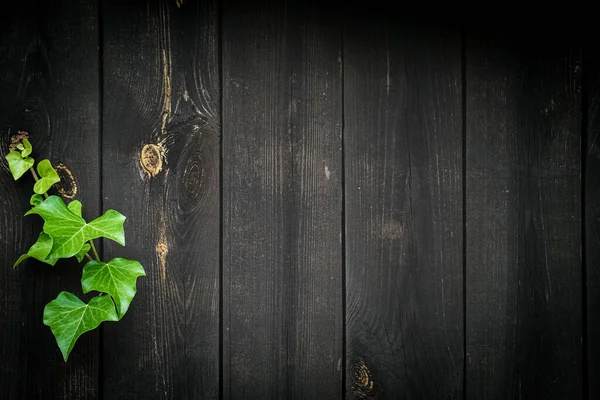 Wood table top view. Timber plank surface wall for vintage grunge wallpaper. Old floor wooden pattern. Dark grain panel board table with copy space. Montage product design concept. — Stock Photo, Image