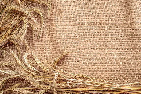 건포도 보리를 통째로 수확하 십시오 곡물식 밀가루를 만드는데 사용하는 아마포 — 스톡 사진