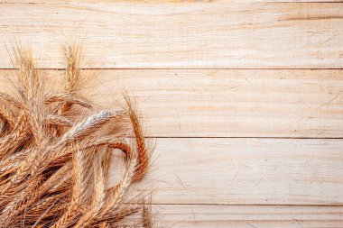 Arpa arpası. Tam, arpa, buğday filizleri. Tahta zemin üzerine izole edilmiş buğday tanesi ya da çavdar saplı bitki, tahıl unu için. Üst görünüm