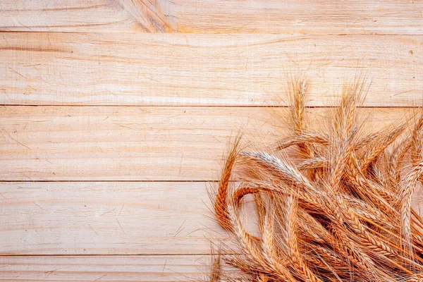 Tahıl tarlası. Tam, arpa, buğday filizleri. Tahta desenli buğday taneleri ya da çavdar çivisi ya da kahverengi doğal organik arka plan, tahıl ekmeği unu için. Düz Yat, boşluğu kopyala