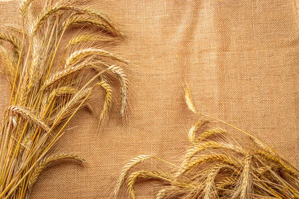 Tahıllar izole. Tam, arpa, buğday filizleri. Mısır gevreği unu için keten dokusunda buğday taneleri ya da çavdar çivisi ya da kahverengi doğal organik arkaplan. Üst görünüm