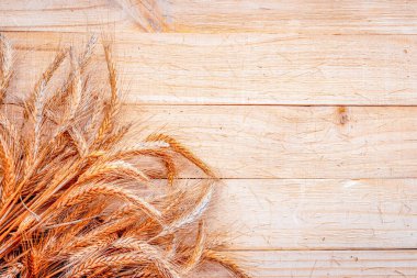 Buğday kulağı. Tam, arpa, buğday filizleri. Tahta desenli buğday taneleri ya da çavdar kazığı bitkisi ya da mısır ekmeği unu için kahverengi pamuk arkaplanı. Tasarım elementi