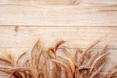 Çavdar otu. Tam, arpa, buğday filizleri. Tahta desenli buğday taneleri ya da çavdar çivisi ya da kahverengi doğal organik arka plan, tahıl ekmeği unu için. Tasarım elementi