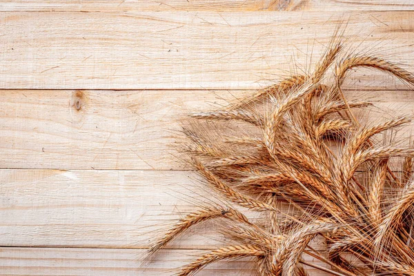 Buğday kulağı. Tam, arpa, buğday filizleri. Tahta desenli buğday taneleri ya da çavdar çivisi ya da kahverengi doğal organik arka plan, tahıl ekmeği unu için. Düz Yat, boşluğu kopyala