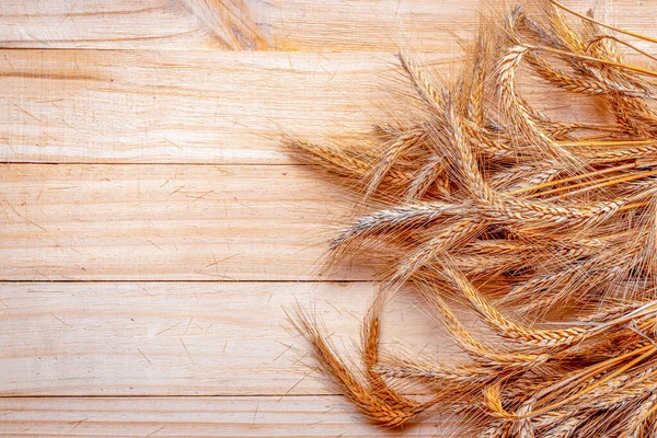 Wheat on table. Wheat grain ear or rye spike plant isolated on brown wood plank background, for cereal bread flour. Whole, barley, harvest wheat sprouts. Element of design