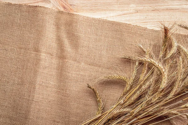 Çavdar otu. Tam, arpa, buğday filizleri. Mısır gevreği unu için keten dokusunda buğday taneleri ya da çavdar çivisi ya da kahverengi doğal organik arkaplan. Tasarım elementi