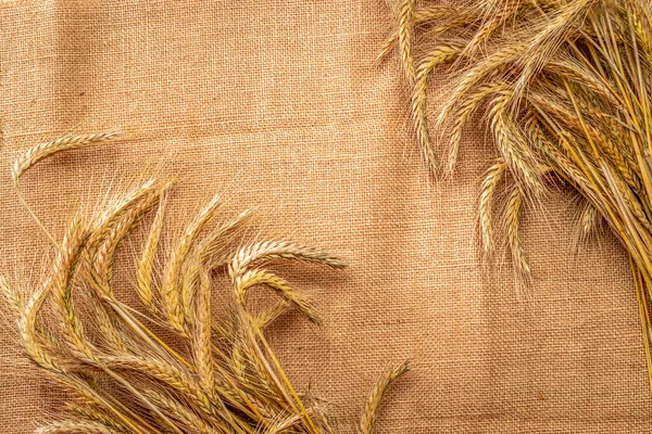 Getreidefeld Vollkorn Gerste Weizenkeime Ernten Weizen Ähren Oder Roggen Ähren — Stockfoto
