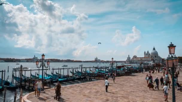 イタリアのヴェネツィア ヨーロッパの都市を旅行するゴンドラのためのグランド運河 ランドマークブリッジ ロマンチックなボートと古いイタリアの建築 ヴェネツィア 高品質4K映像 — ストック動画