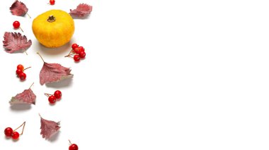 Cadılar Bayramı balkabakları. Doğal yiyecek, portakal kabağıyla hasat, kurumuş yapraklar, beyaz arka planda yalıtılmış yaban mersini. Yaratıcı Üst Görünüm düz sonbahar kompozisyonu