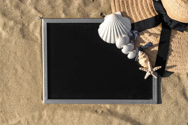 Summer holidays background. Starfish, seashells, toy plane and globe near blackboard on ocean nature beach. Design of summer vacation holiday concept