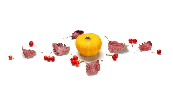 Thanksgiving Diner Herfst Natuurlijke Voeding Met Sinaasappelpompoen Herfst Gedroogde Bladeren — Stockfoto