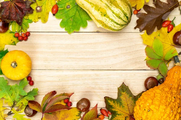 Maple leaf autumn. Natural harvest with orange pumpkin, fall dried leaves, red berries and acorns, chestnuts on wooden background in shape frame. Beauty Holiday autumn festival concept. Fall scene