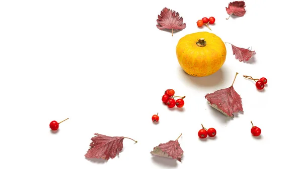 Herfst Patroon Natuurlijk Voedsel Oogst Met Sinaasappelpompoen Herfst Gedroogde Bladeren — Stockfoto