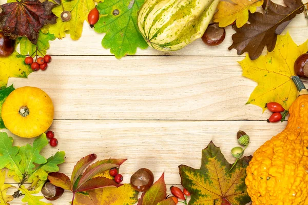 Bladherfst Natuurlijke Oogst Met Sinaasappelpompoen Herfst Gedroogde Bladeren Rode Bessen — Stockfoto