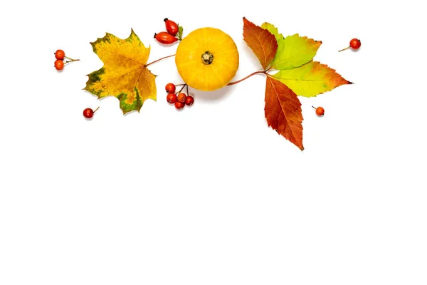 Kolacja Dziękczynna Jesień Naturalne Jedzenie Dynią Pomarańczową Liście Suszone Jesienią — Zdjęcie stockowe