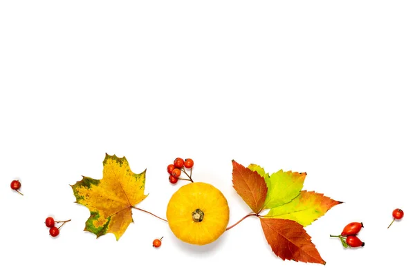 Abstrakcyjna Jesień Naturalne Jedzenie Zbiory Dynią Pomarańczową Opadające Liście Jagody — Zdjęcie stockowe