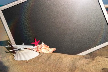 Deniz arka planı. Deniz yıldızı, deniz kabukları, oyuncak uçak ve karatahtanın yanındaki okyanus doğası plajı. Yaz tatili ve ürün reklamları konsepti