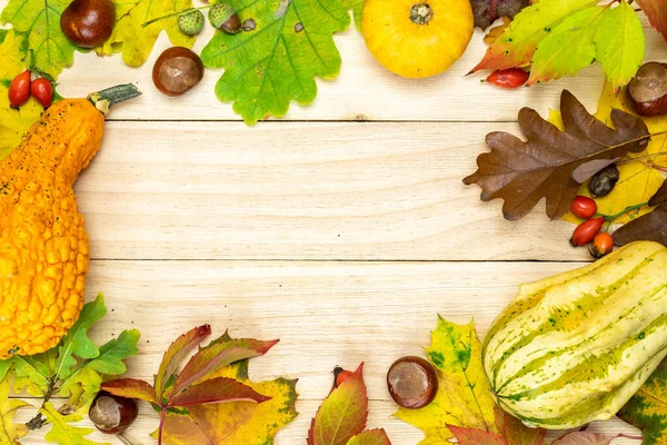 Herfst Natuurconcept Natuurlijke Oogst Met Sinaasappelpompoen Herfst Gedroogde Bladeren Rode — Stockfoto