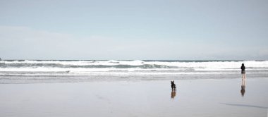 Köpek ve kadın yalnız ile plaj rahatlatıcı Lonely