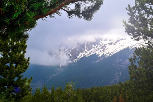 Andorra Dağları kar ile. Çam ağaçları ile karlı dağlar manzarası. Doğa arka plan manzara
