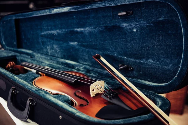 Kendi halinde kemanı. Mavi kadife keman durumda müzik mağazasında
