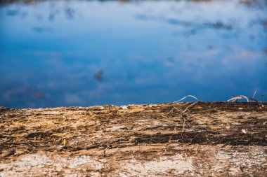 Arkada su nehri veya göl ile düşmüş ağaç gövdesi bulanık arka plan.