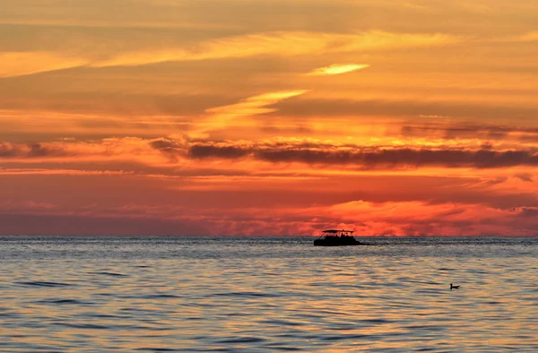 Yalnız gemi ve martı gün batımı arka planda denizde yüzen