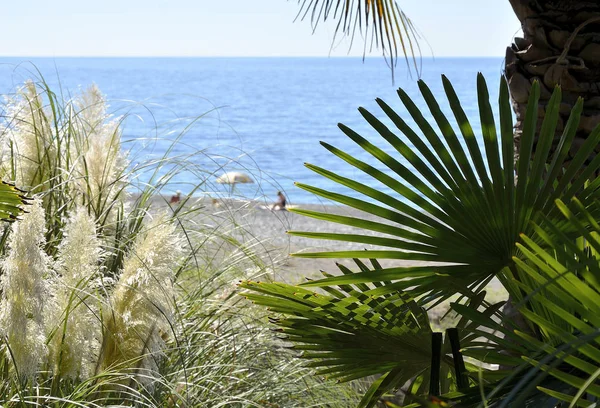 Karadeniz kıyısında güneşli yaz gününde küçük çakıl plaj.