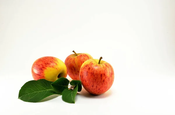 Üç Olgun kırmızı elma ve beyaz zemin üzerine yeşil dal.