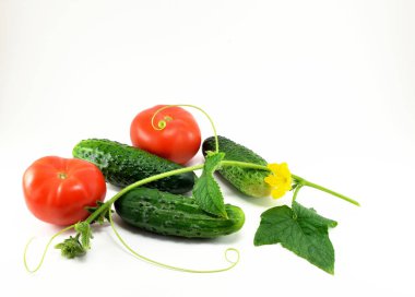 Olgun kırmızı domates ve salatalık beyaz bir arka plan üzerinde bahçesinden.