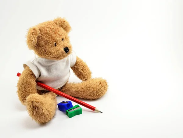 Brown Teddy bear toy with drawing pencil.