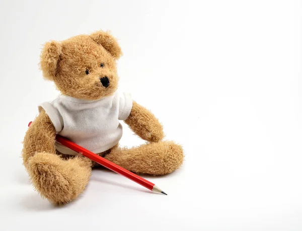 Brown Teddy bear toy with drawing pencil. — Stock Photo, Image
