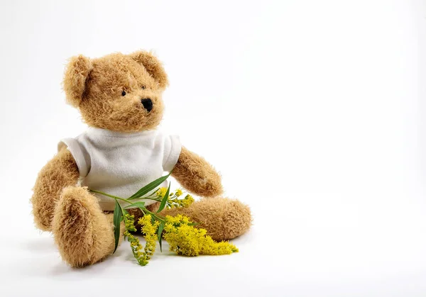 Kahverengi oyuncak ayı oyuncak ve sarı çiçekli dal beyaz arka plan üzerinde.
