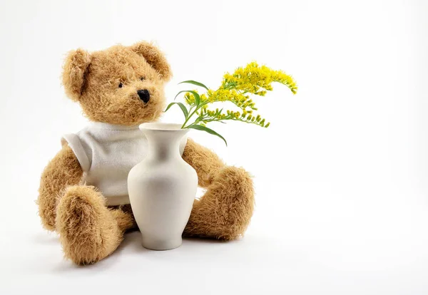 A brown Teddy bear toy and a twig with yellow flowers in a clay vase. — Stock Photo, Image