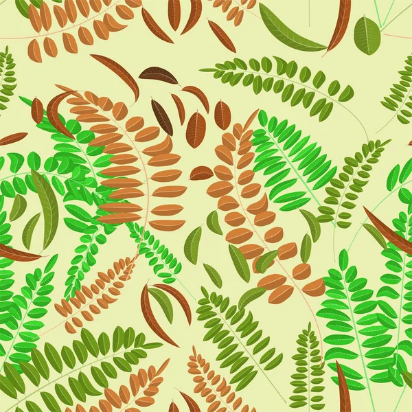 Motif sans couture avec feuille d'acacia brun vert et gingembre sur fond jaune. Illustration vectorielle feuilles d'acacia — Image vectorielle