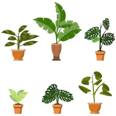 Saksı bitkileri beyaz üzerine izole. Pot illüstrasyon altı yeşil tropikal bitkilerin Vektör seti
