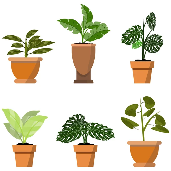 Krukväxter isolerade på vitt. Vektor uppsättning av sex gröna tropiska växter i Pot illustration — Stock vektor