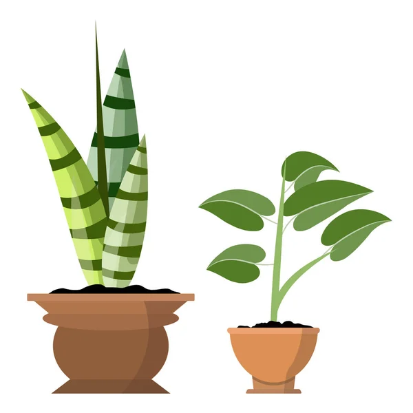 흰색에 고립 된 화분. 냄비 그림에서 두 개의 녹색 열대 식물의 벡터 세트 — 스톡 벡터