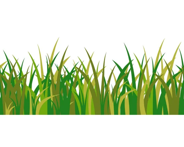 Grönt gräs stjälkar, tofs och sömlösa mönster isolerade på vit bakgrund. Vektor illustration för tecknad landskap — Stock vektor