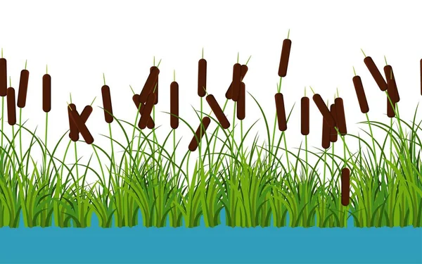 Vector junco hastes plantas com folhas e grama no rio sem costura padrão no fundo branco —  Vetores de Stock