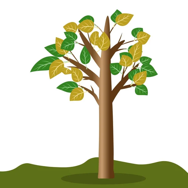 Árvore de desenhos animados isolado com uma enorme folhas, ilustração vetorial para adereços —  Vetores de Stock